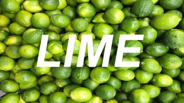 Absolut-Lime