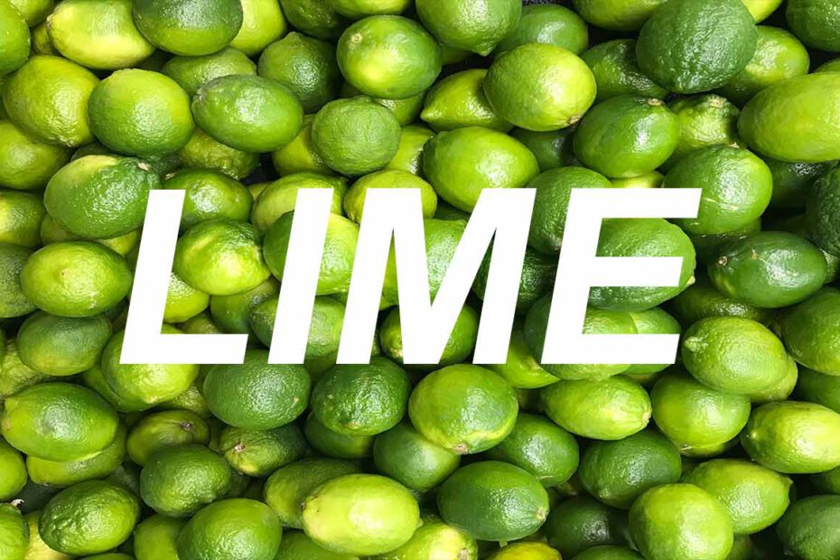 Absolut-Lime