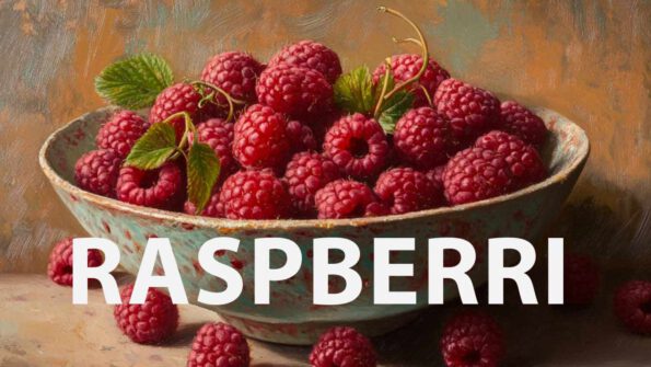 Absolut-Raspberri