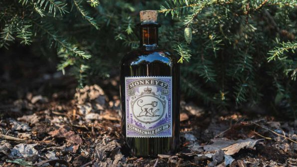 monkey 47 gin